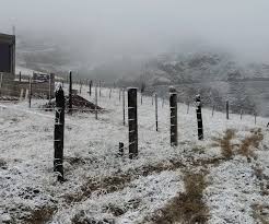 Imagen 3
