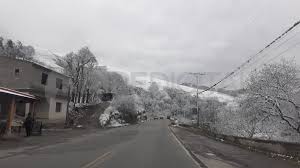 Imagen 6